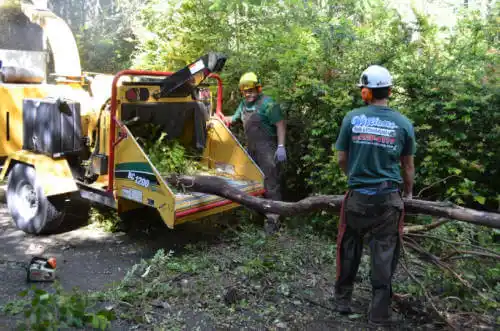 tree services West Memphis